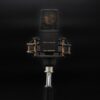 ⁦EZM-V414EM Replica of AKG C414EB⁩ – תמונה ⁦3⁩